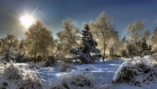 Winterwald im Erzgebirge in Sachsen