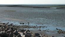 Wattenmeer in Büsum