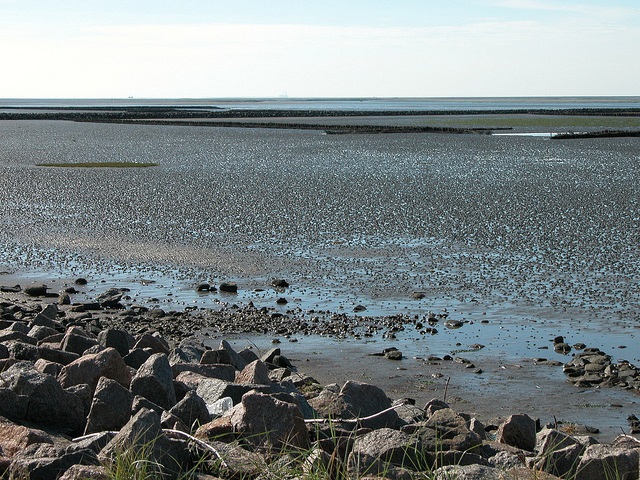 Wattenmeer in Büsum