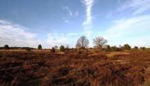 Landschaft in der Lüneburger Heide