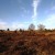 Landschaft in der Lüneburger Heide