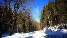 Alte Ohrdrufer Straße in Oberhof