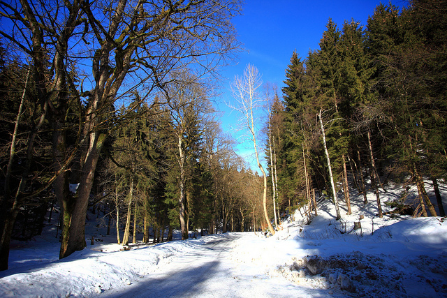 Alte Ohrdrufer Straße in Oberhof